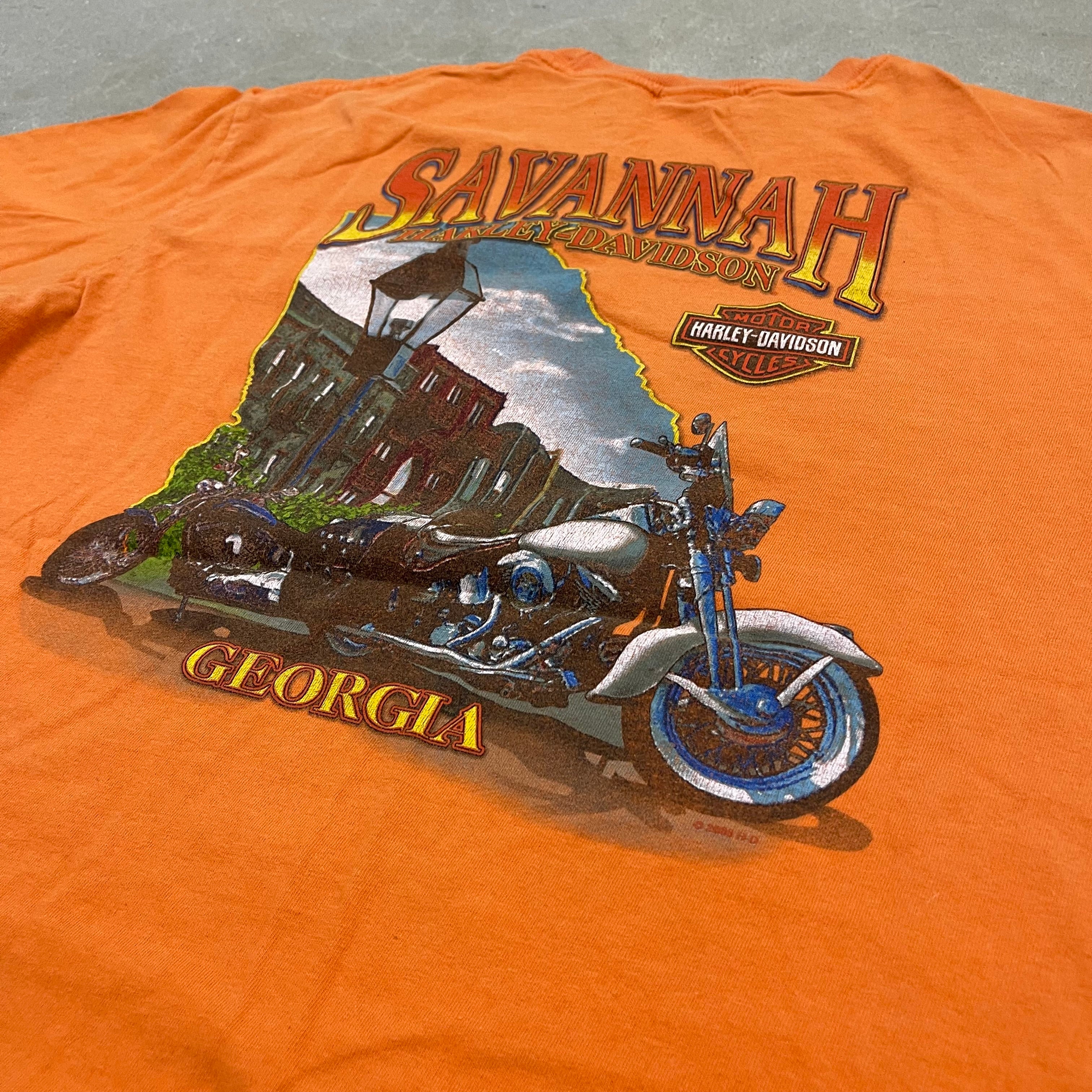 Harley-Davidson Savannah GA Orange T-Shirt Men’s Vintage Biker Graphic Southern